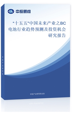 2025-2029Ї(gu)δ(li)a(chn)I(y)֮BC늳ИI(y)څ(sh)A(y)y(c)ͶYC(j)(hu)о(bo)