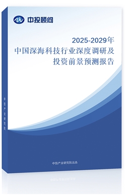 2025-2029ЇƼИI(y){(dio)мͶYǰA(y)y